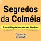 Blog 1 Blog 1